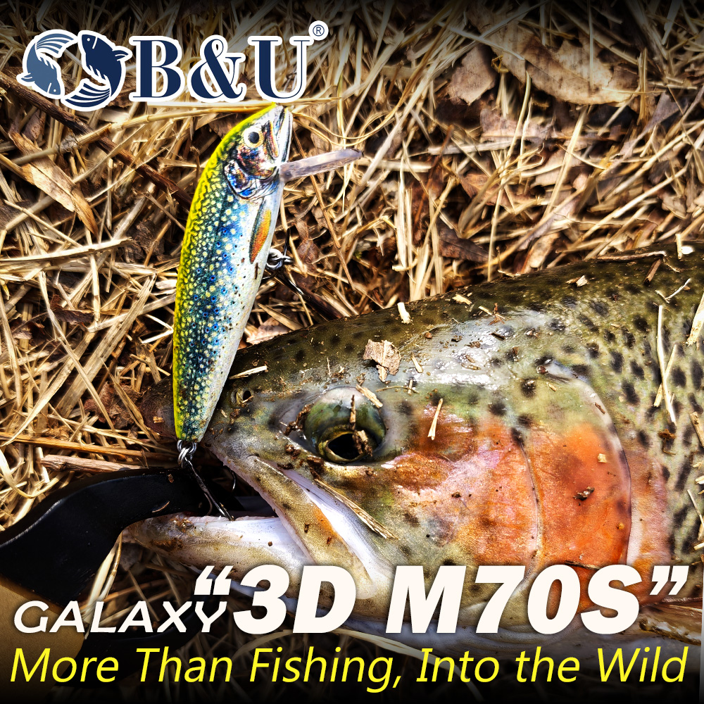 B&U Fishing Lures Sinking Minn - مراجعة Saltwater Fishing Hook وسعره