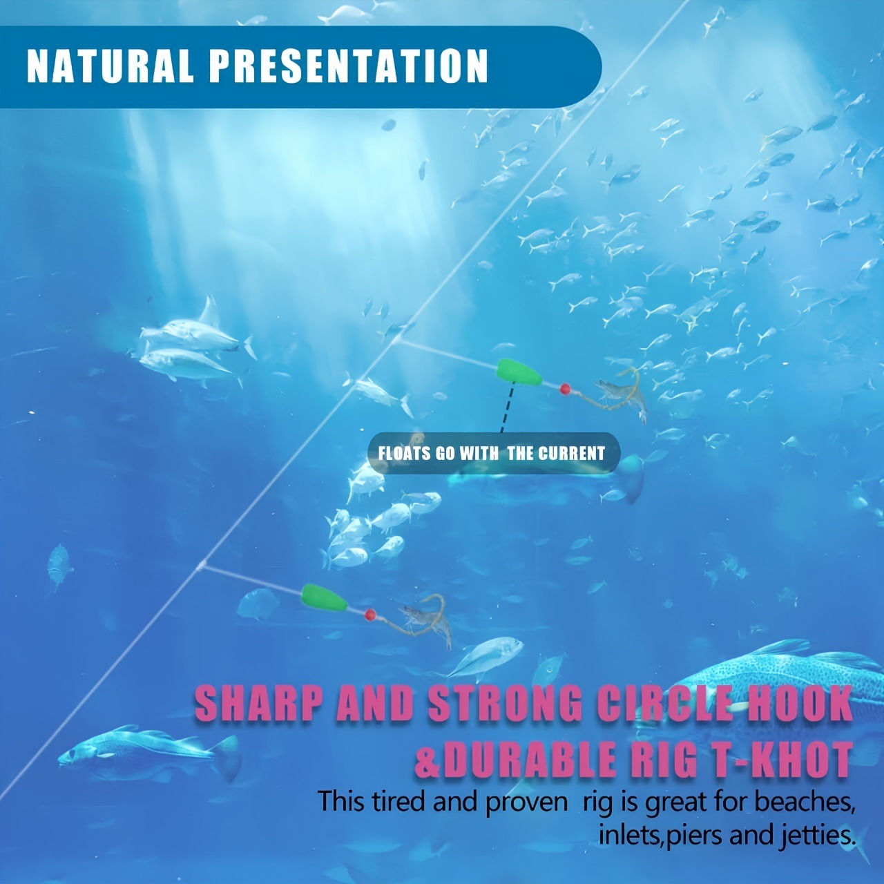 1-5PCS Pompano Rigs Surf Fishi - مراجعة Snell Fishing Rig وسعره