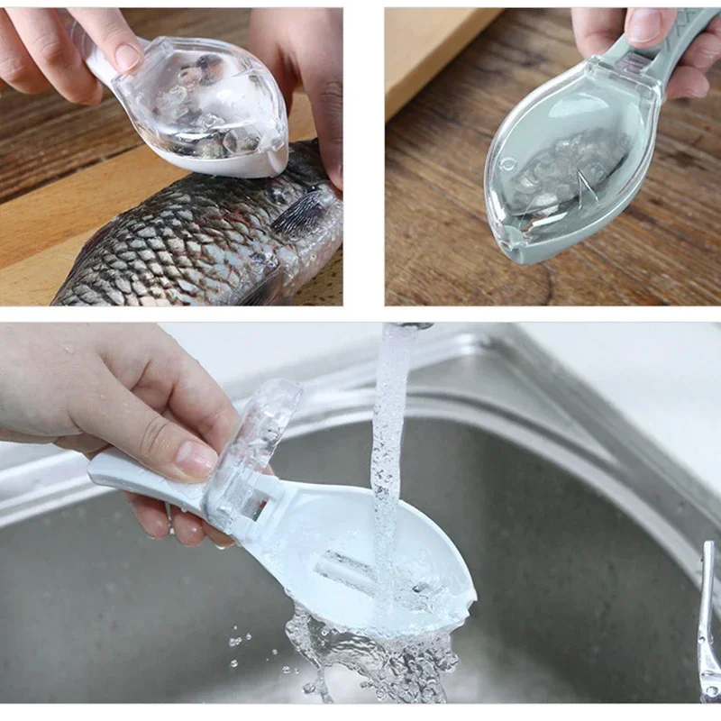 Manual Fish Scale Scraper with - مراجعة Fishing Equipment Kitchener وسعره
