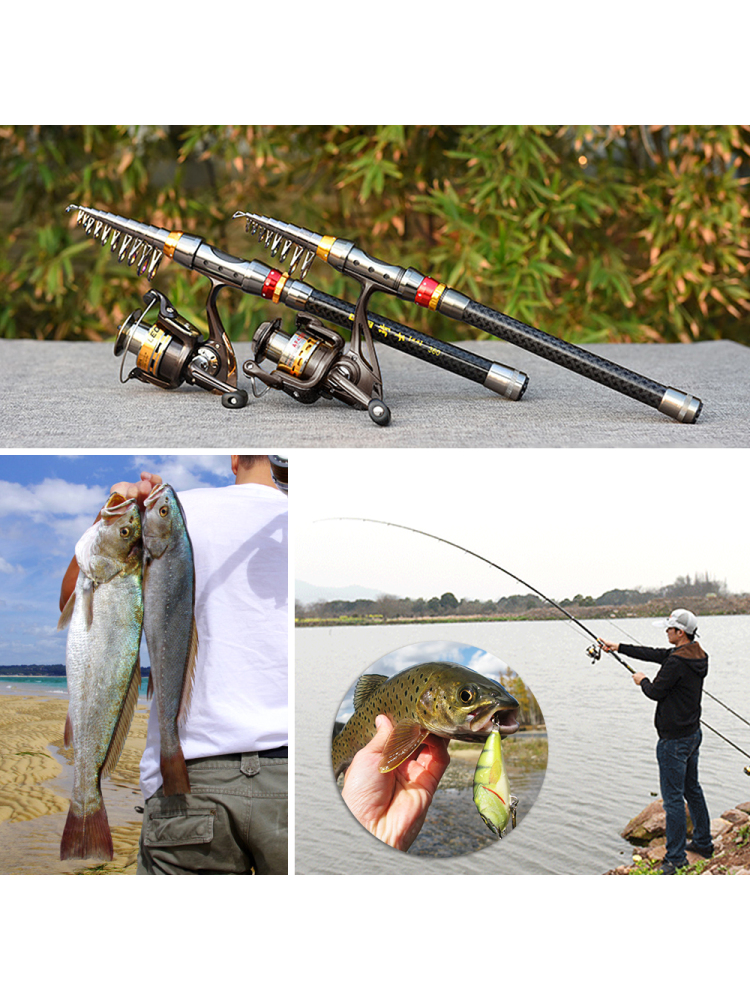 Fishing Rod Spinning Reel Comb - مراجعة Saltwater Fishing Hook وسعره