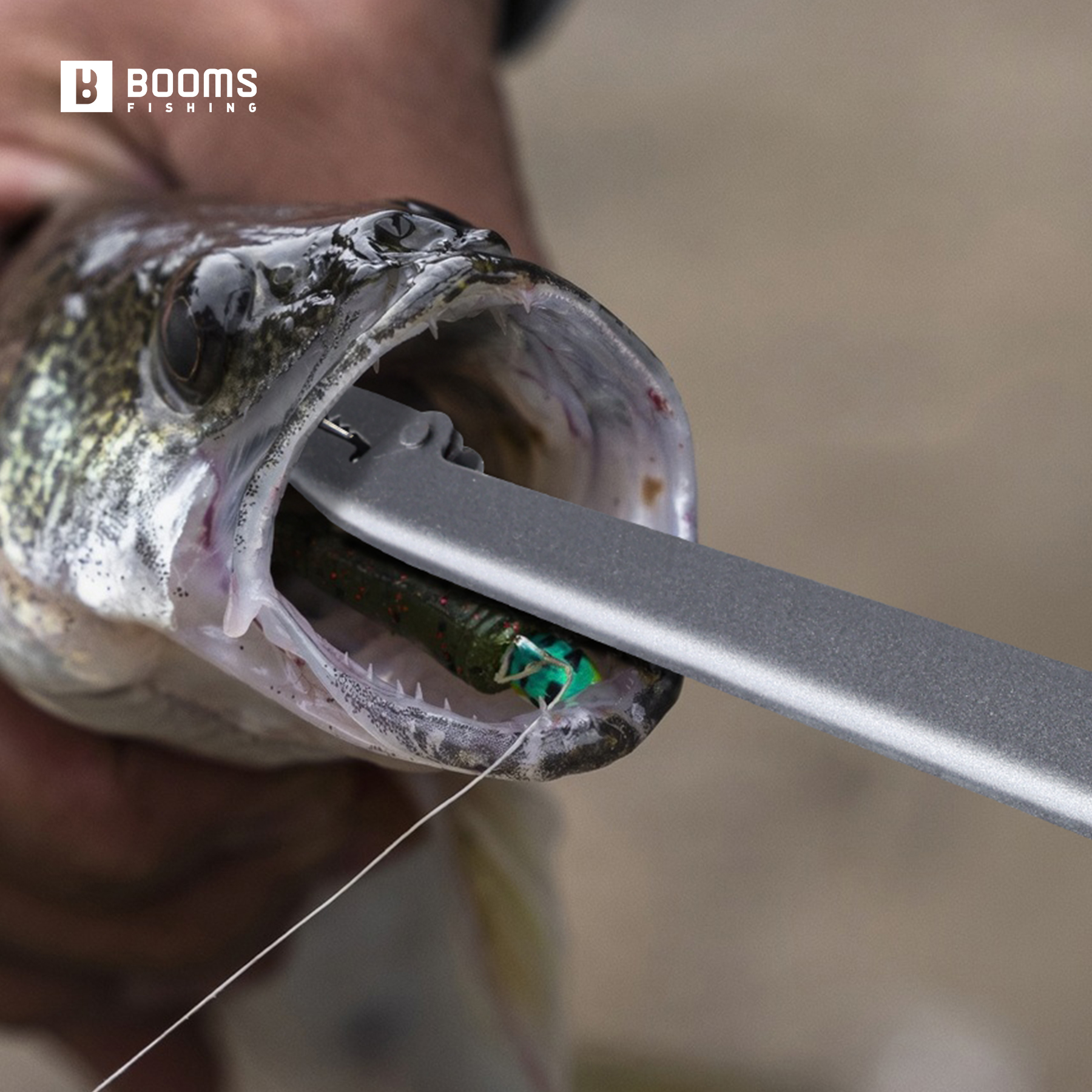 Booms Fishing 25cm Carbon Stee - مراجعة Saltwater Fishing Hook وسعره
